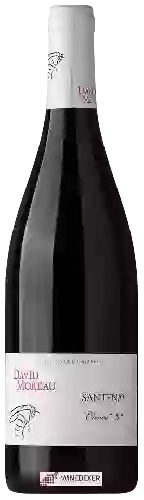 Wijnmakerij David Moreau - Santenay Cuvée 'S'