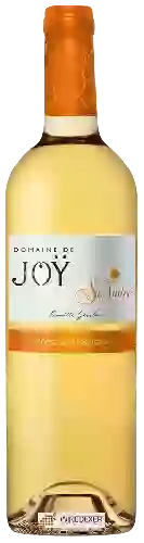 Domaine de Joy - Saint André Côtes de Gascogne