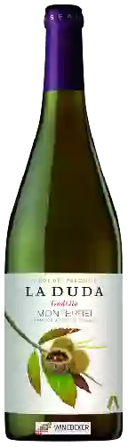 Wijnmakerij Vinos del Paseante - La Duda Godello
