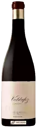 Wijnmakerij Descendientes de J. Palacios - Valdafoz Bierzo (Corullón)