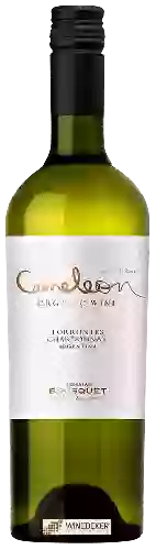 Domaine Bousquet - Cameleon Selection Chardonnay - Torrontes