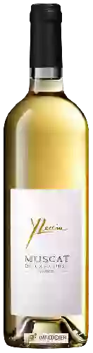 Wijnmakerij Yves Leccia - Muscat du Cap Corse