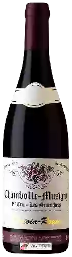 Wijnmakerij Digioia-Royer - Chambolle-Musigny 1er Cru 'Les Gruenchers'