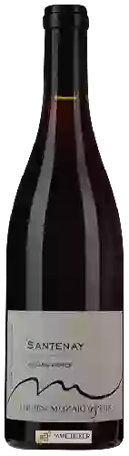 Wijnmakerij Lucien Muzard & Fils - Vieilles Vignes Santenay