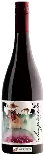 Wijnmakerij Payten & Jones - Valley Vignerons Sangiovese Wijnmakerij Payten & Jones - Valley Vignerons Sangiovese