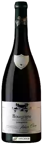 Wijnmakerij Philippe Chavy - Bourgogne Chardonnay