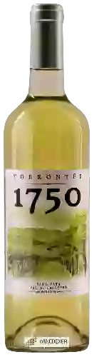 Wijnmakerij Vinos 1750 - Uvairenda - Torrontés