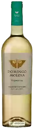 Wijnmakerij Domingo Molina - Torrontés