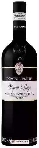 Wijnmakerij Domini Veneti - Vigneti di Jago Amarone della Valpolicella Classico