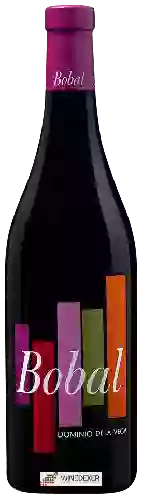 Wijnmakerij Dominio de la Vega - Bobal