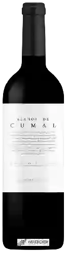 Wijnmakerij Dominio Dostares - Llanos de Cumal Prieto Picudo Wijnmakerij Dominio Dostares - Llanos de Cumal Prieto Picudo