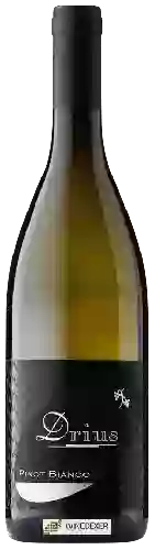 Wijnmakerij Drius - Pinot Bianco