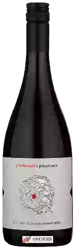 Wijnmakerij El Infiernillo - Pinot Noir
