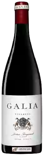 Wijnmakerij El Regajal - Galia