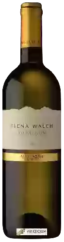 Wijnmakerij Elena Walch - Sauvignon (Selezione)