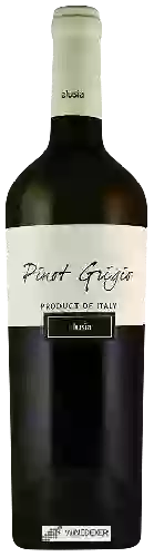 Wijnmakerij Elusìa - Pinot Grigio