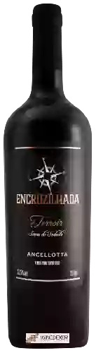 Wijnmakerij Encruzilhada - Terroir Ancellotta