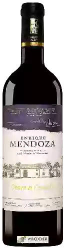 Wijnmakerij Enrique Mendoza - Finca el Curatón
