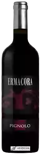 Wijnmakerij Ermacora - Pignolo