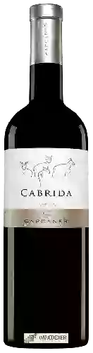 Wijnmakerij Capçanes - Cabrida Old Vines Garnacha