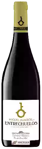 Wijnmakerij Miguel Domecq - Entrechuelos Chardonnay