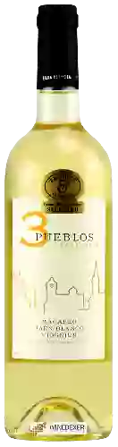 Wijnmakerij Tierra Hermosa - 3 Pueblos