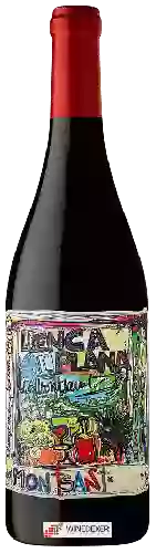 Wijnmakerij Terra de Falanis - Llenca Plana Montsant