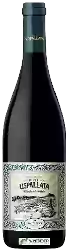 Wijnmakerij Estancia Uspallata - Uspallata Pinot Noir