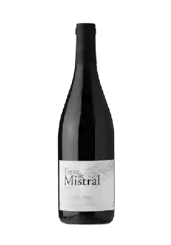 Wijnmakerij Estezargues - Terre de Mistral Reserve Côtes du Rhône Wijnmakerij Estezargues - Terre de Mistral Reserve Côtes du Rhône