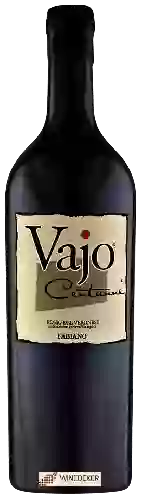 Wijnmakerij Fabiano - Rosso Del Veronese Vajo Centanni