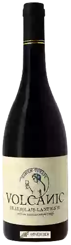 Wijnmakerij Fabien Forest - Volcanic Beaujolais-Lantignié