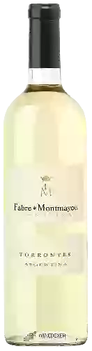 Wijnmakerij Fabre Montmayou - Torrontes