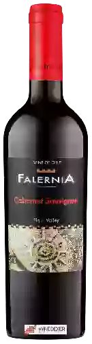 Wijnmakerij Falernia - Cabernet Sauvignon
