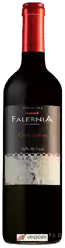 Wijnmakerij Falernia - Carménère