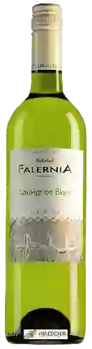 Wijnmakerij Falernia - Sauvignon Blanc