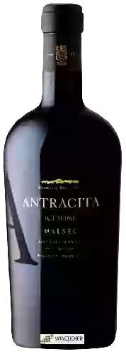Wijnmakerij Belasco de Baquedano - Antracita Malbec Ice Wine