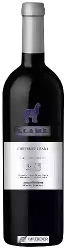 Wijnmakerij Belasco de Baquedano - Llama Old Vine Cabernet Franc