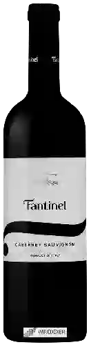 Wijnmakerij Fantinel - Cabernet Sauvignon Borgo Tesis