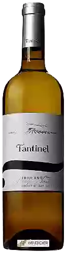 Wijnmakerij Fantinel - Friulano Borgo Tesis