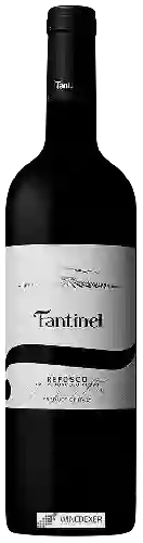 Wijnmakerij Fantinel - Refosco dal Peduncolo Rosso Borgo Tesis