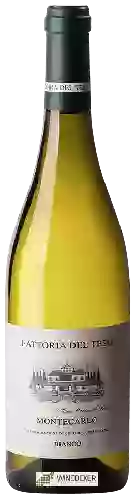 Wijnmakerij Fattoria del Teso - Montecarlo Bianco