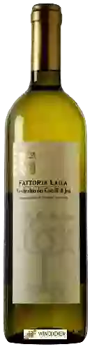 Wijnmakerij Fattoria Laila - Verdicchio dei Castelli di jesi