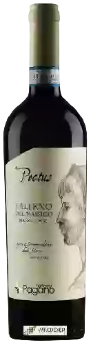 Wijnmakerij Fattoria Pagano - Pectus Falerno del Massico