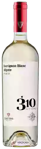 Wijnmakerij Fautor - 310 Altitudine Sauvignon Blanc - Aligoté