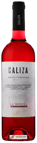 Wijnmakerij Félix Solís - Caliza La Mancha Tempranillo Rosado