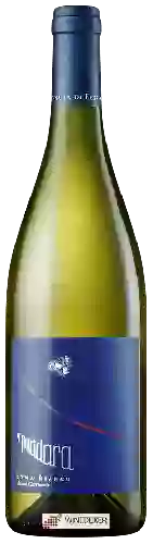 Wijnmakerij Tenuta di Fessina - A'Puddara Etna Bianco