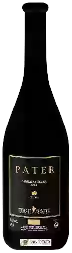 Wijnmakerij Ficaria - Pater Garnatxa Negra