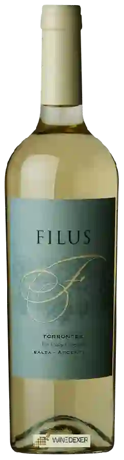 Wijnmakerij Filus - Torrontés Wijnmakerij Filus - Torrontés