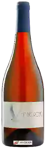 Cave Fin Bec - Fin Bec Rosé