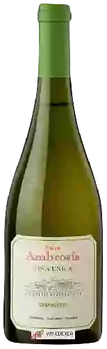 Wijnmakerij Finca Ambrosia - Viña Unica Chardonnay Wijnmakerij Finca Ambrosia - Viña Unica Chardonnay